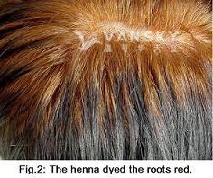 241003135619_Hair-Dying with henna-s.jpg